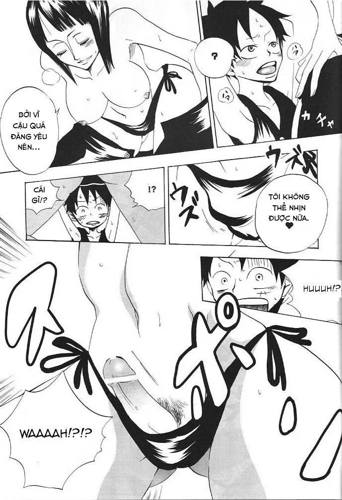 HentaiVN.net - Ảnh 17 - Kimi wa Pet (One Piece) - Chap 1