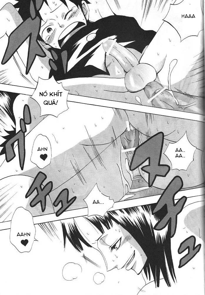 HentaiVN.net - Ảnh 23 - Kimi wa Pet (One Piece) - Chap 1