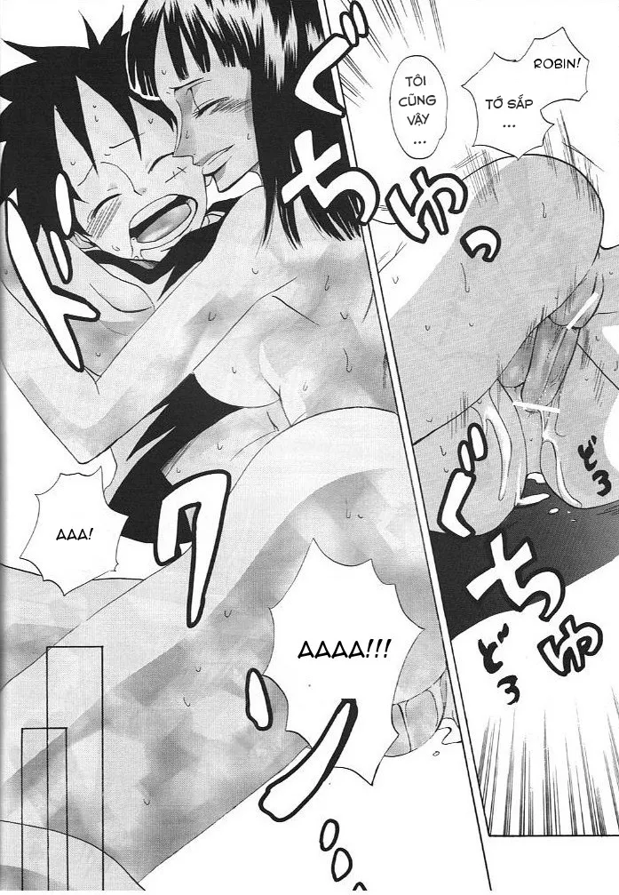 HentaiVN.net - Ảnh 24 - Kimi wa Pet (One Piece) - Chap 1