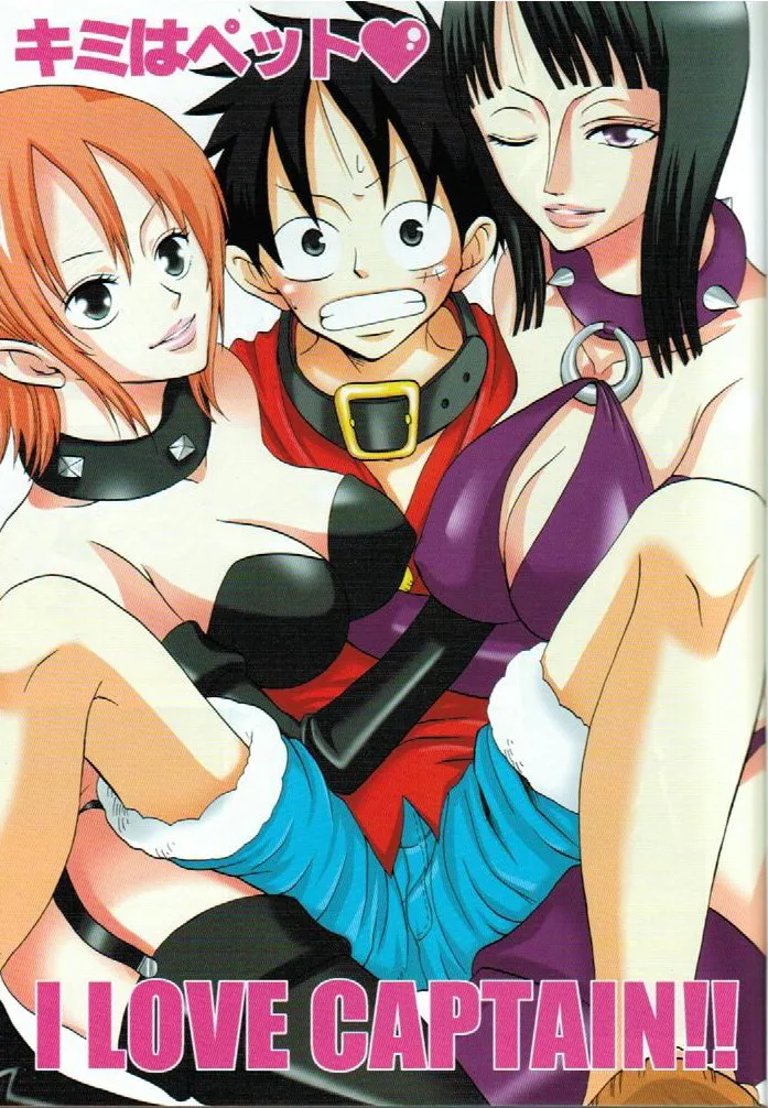 HentaiVN.net - Ảnh 3 - Kimi wa Pet (One Piece) - Chap 1