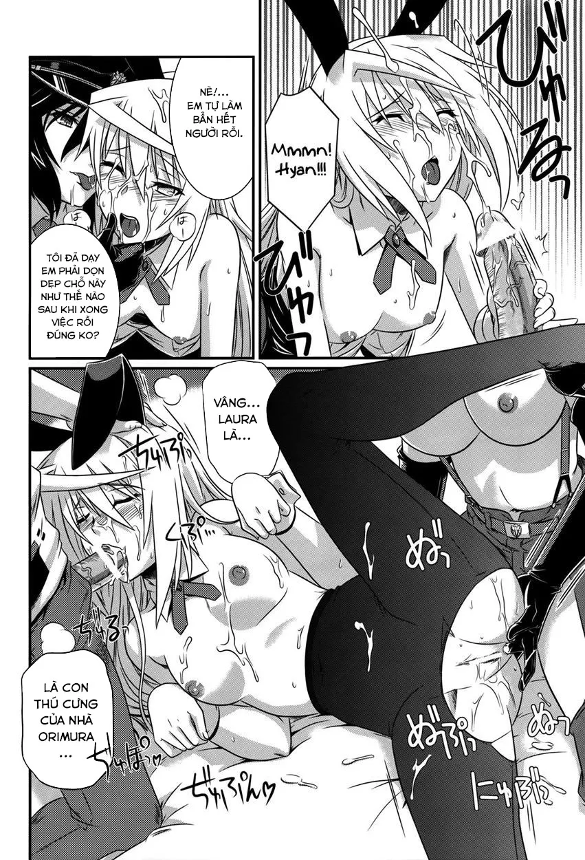 HentaiVN.net - Ảnh 9 - Incest Strategy (Infinite Stratos) - Chap 4