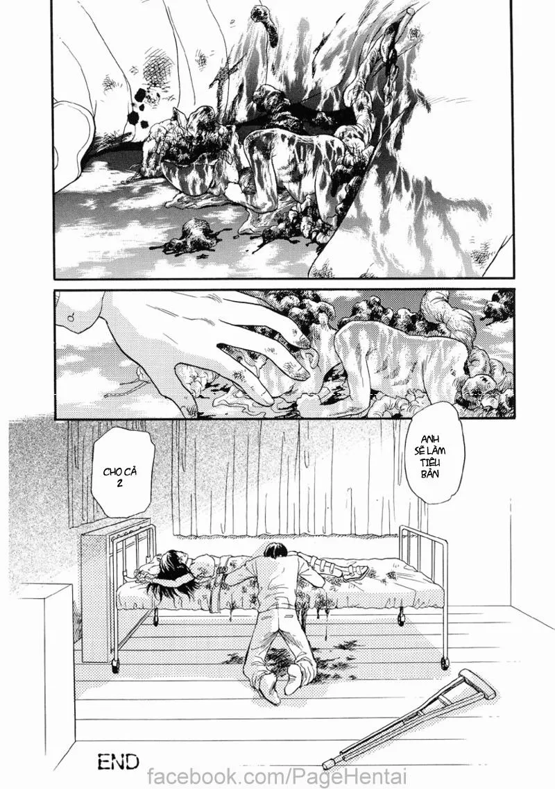 HentaiVN.net - Ảnh 17 - Con nhộng [Chrysalis] - Chap 2