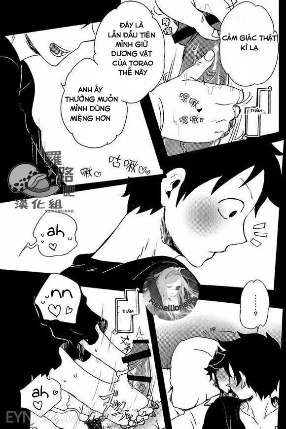 HentaiVN.net - Ảnh 11 - Trafalgar wa Gomugomu no Yume o Miru ka (One Piece) - Chap 1