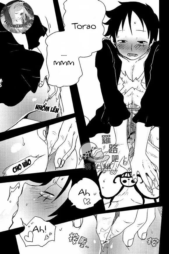 HentaiVN.net - Ảnh 17 - Trafalgar wa Gomugomu no Yume o Miru ka (One Piece) - Chap 1