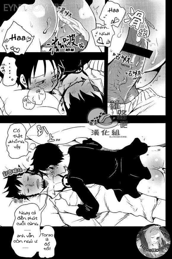 HentaiVN.net - Ảnh 23 - Trafalgar wa Gomugomu no Yume o Miru ka (One Piece) - Chap 1
