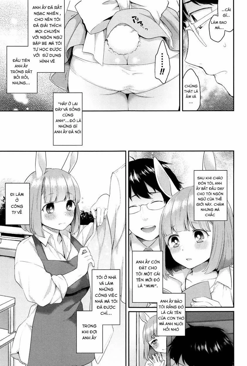 HentaiVN.net - Ảnh 8 - Rabbit hole - Chap 1