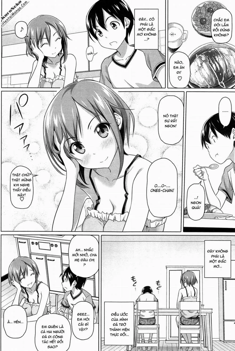 HentaiVN.net - Ảnh 4 - Boku no Suteki na Oneechan - Chap 1