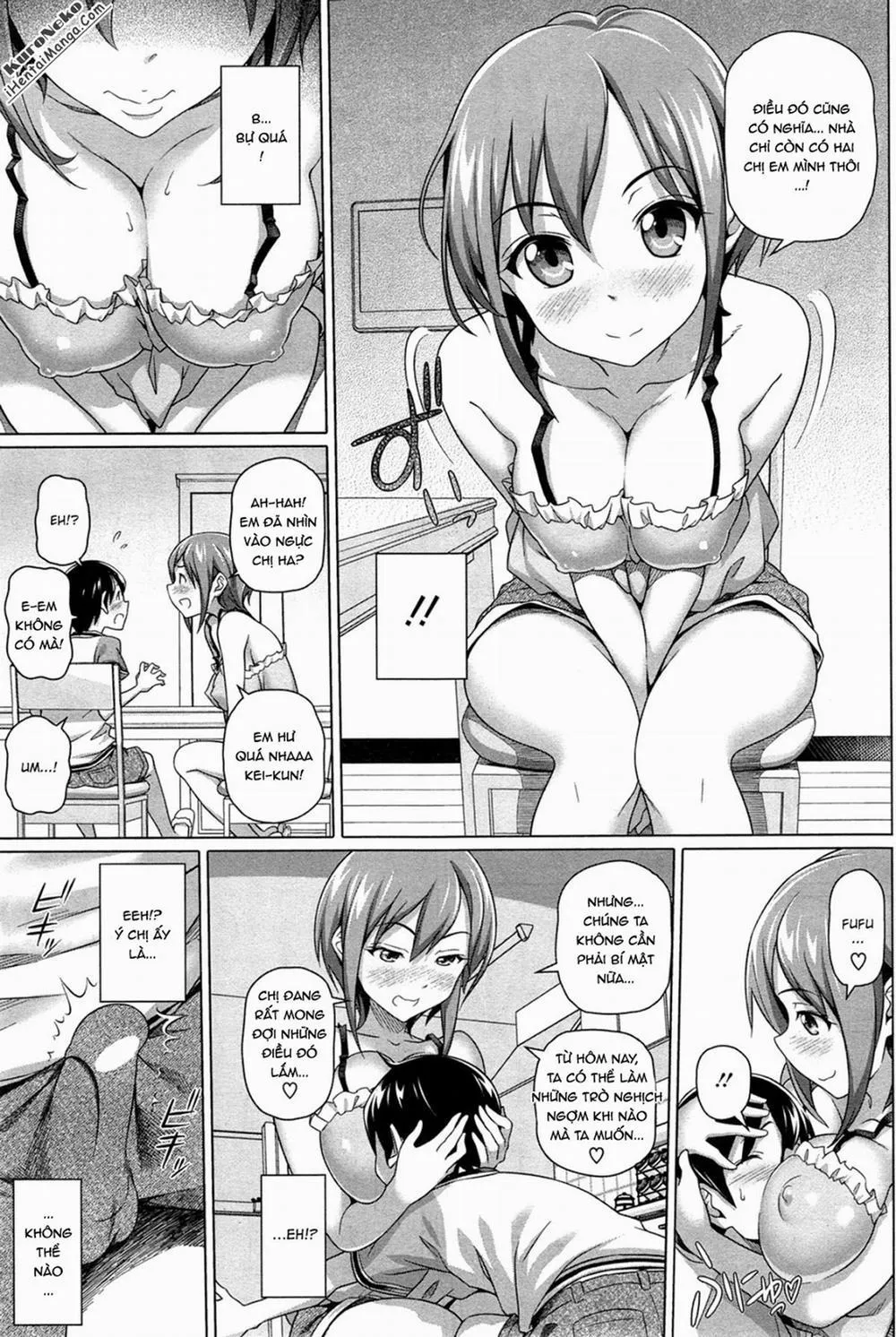 HentaiVN.net - Ảnh 5 - Boku no Suteki na Oneechan - Chap 1