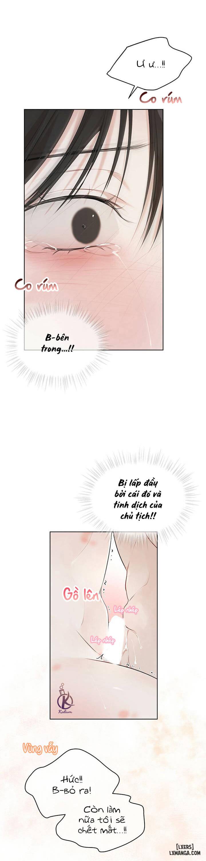 HentaiVN.net - Ảnh 30 - Hình thái khởi sinh - Chap 29