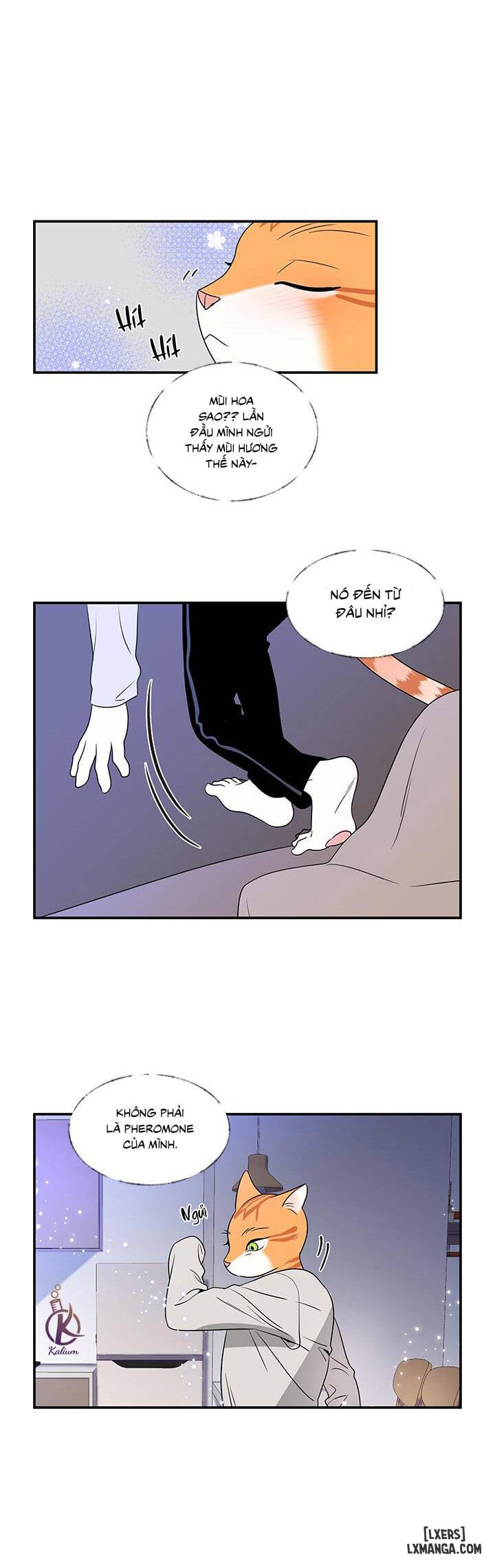 HentaiVN.net - Ảnh 22 - Dự án xanh - Chap 1