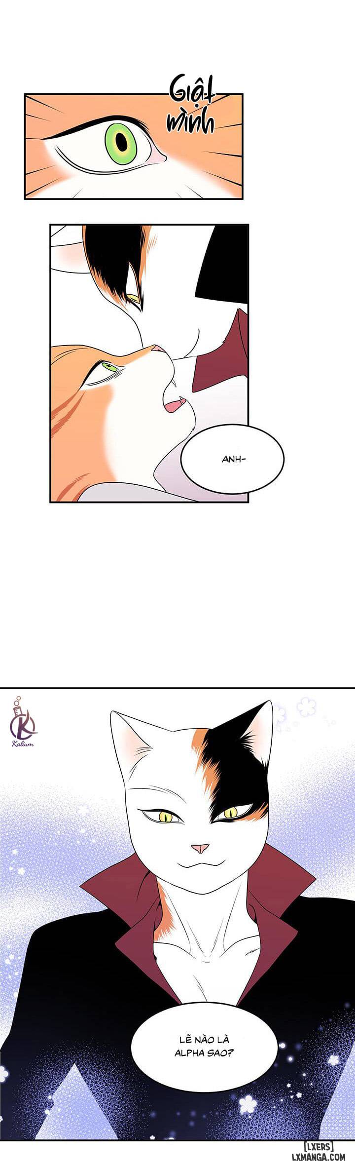 HentaiVN.net - Ảnh 30 - Dự án xanh - Chap 1