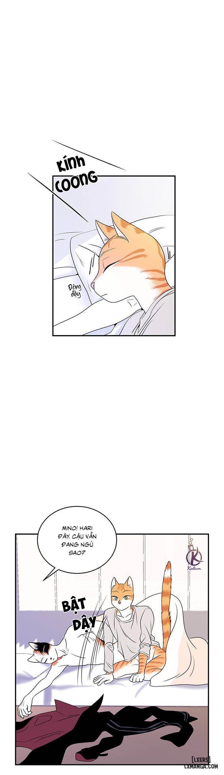 HentaiVN.net - Ảnh 14 - Dự án xanh - Chap 2