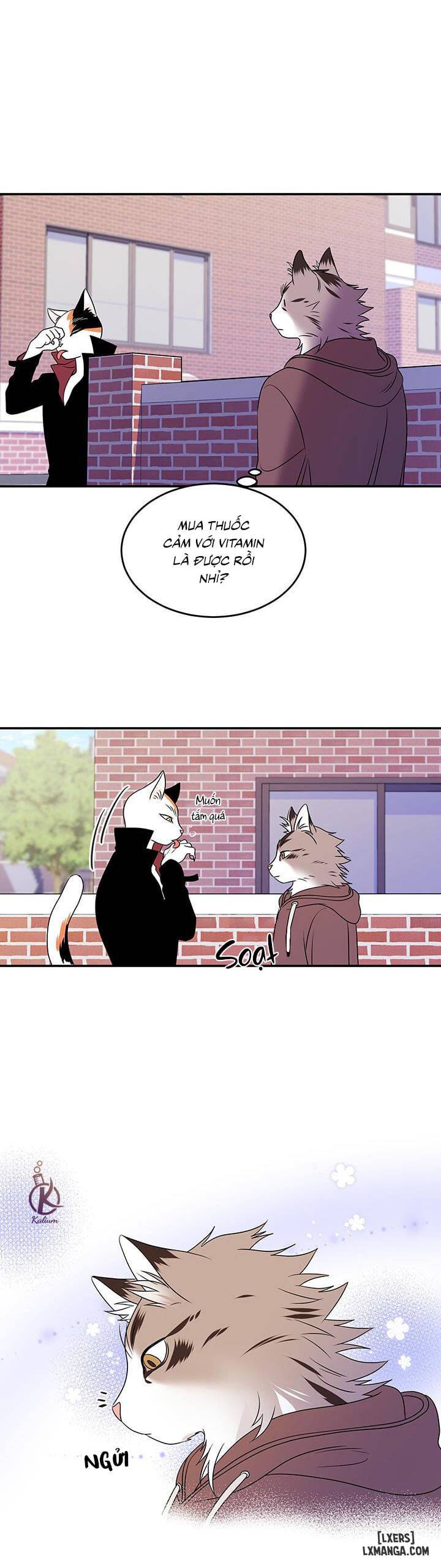 HentaiVN.net - Ảnh 26 - Dự án xanh - Chap 2