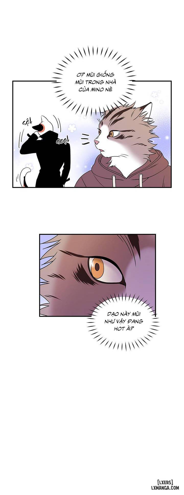 HentaiVN.net - Ảnh 27 - Dự án xanh - Chap 2