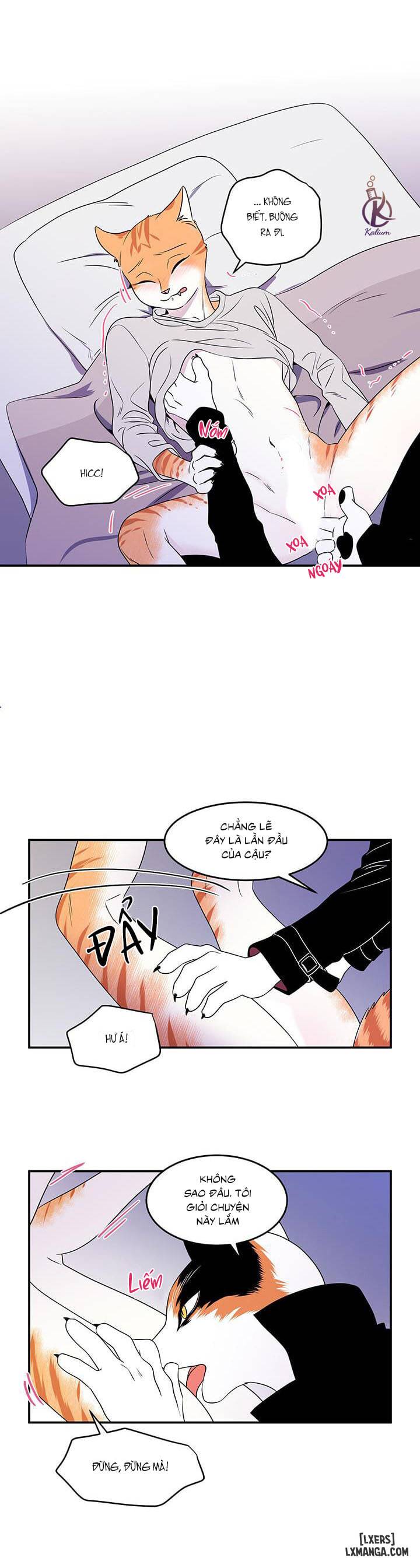 HentaiVN.net - Ảnh 3 - Dự án xanh - Chap 2