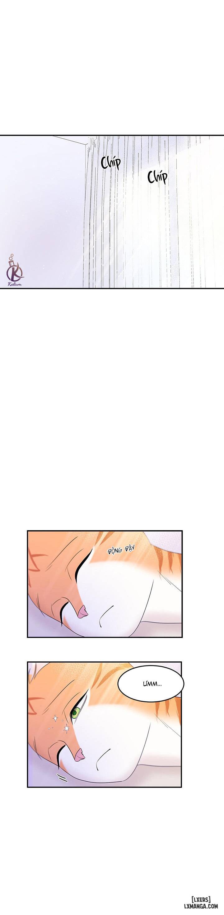 HentaiVN.net - Ảnh 25 - Dự án xanh - Chap 3