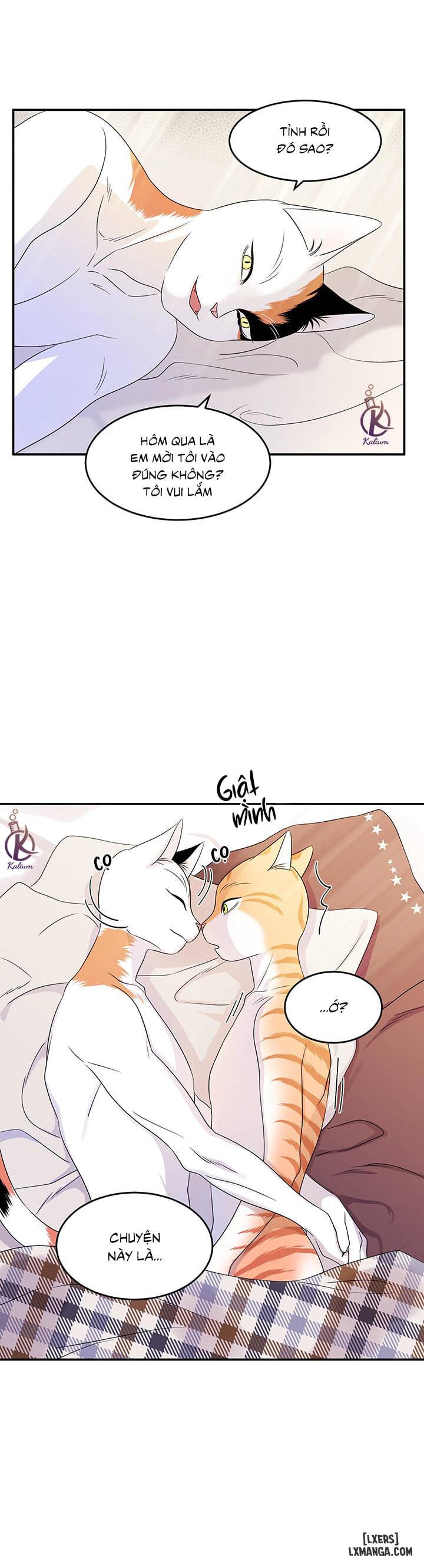 HentaiVN.net - Ảnh 26 - Dự án xanh - Chap 3