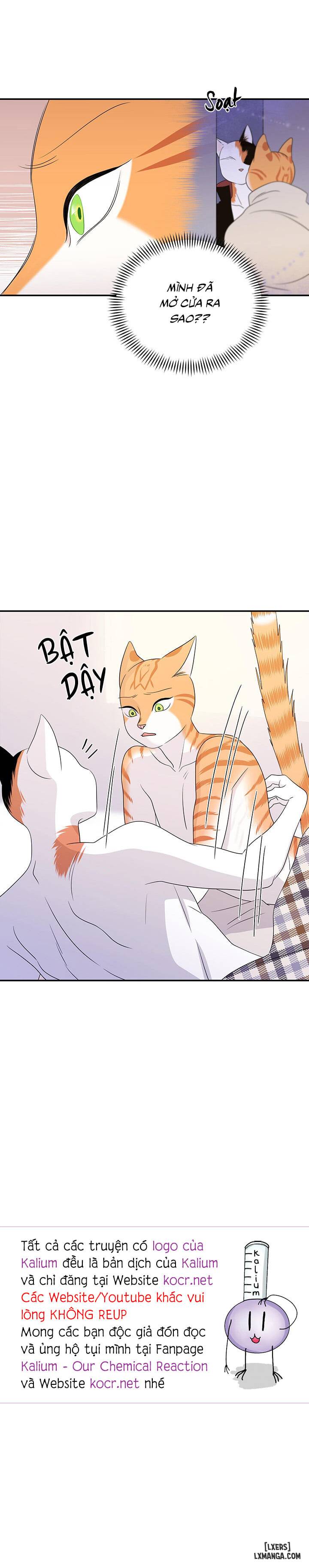 HentaiVN.net - Ảnh 27 - Dự án xanh - Chap 3