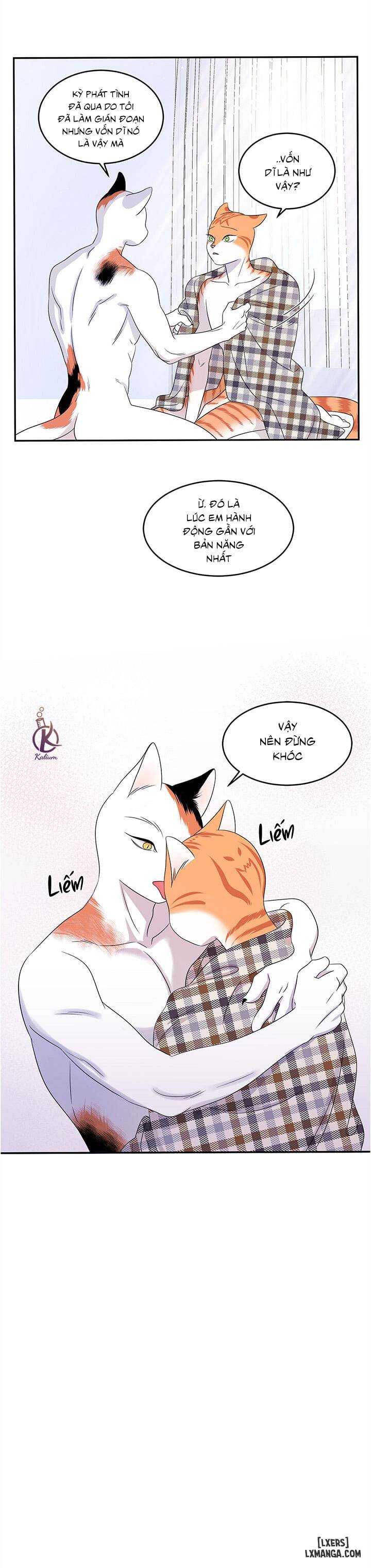 HentaiVN.net - Ảnh 3 - Dự án xanh - Chap 4