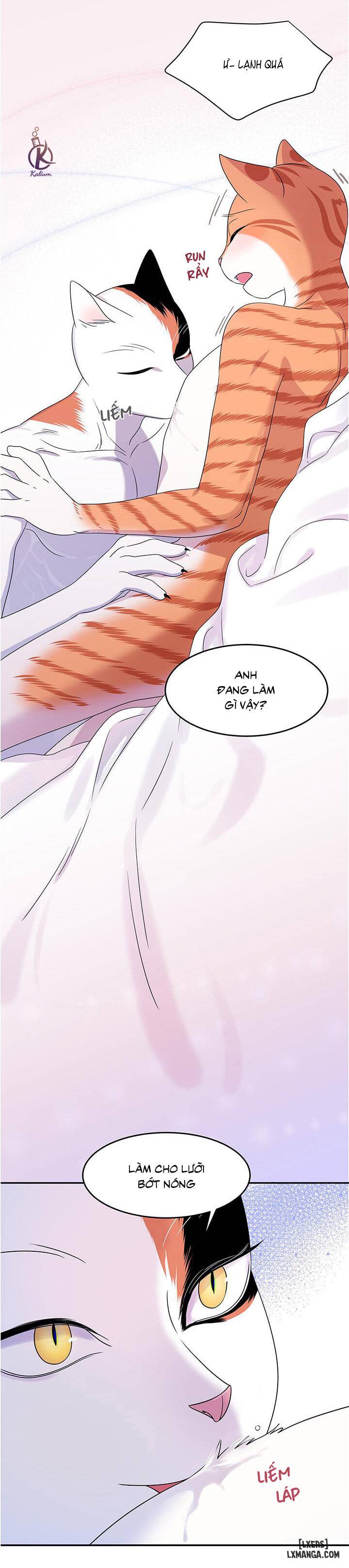 HentaiVN.net - Ảnh 28 - Dự án xanh - Chap 5