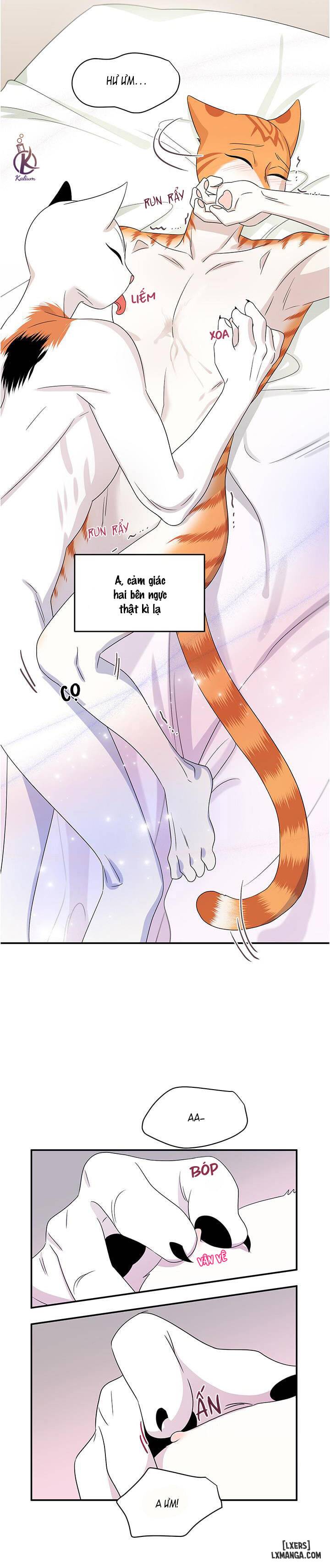 HentaiVN.net - Ảnh 30 - Dự án xanh - Chap 5