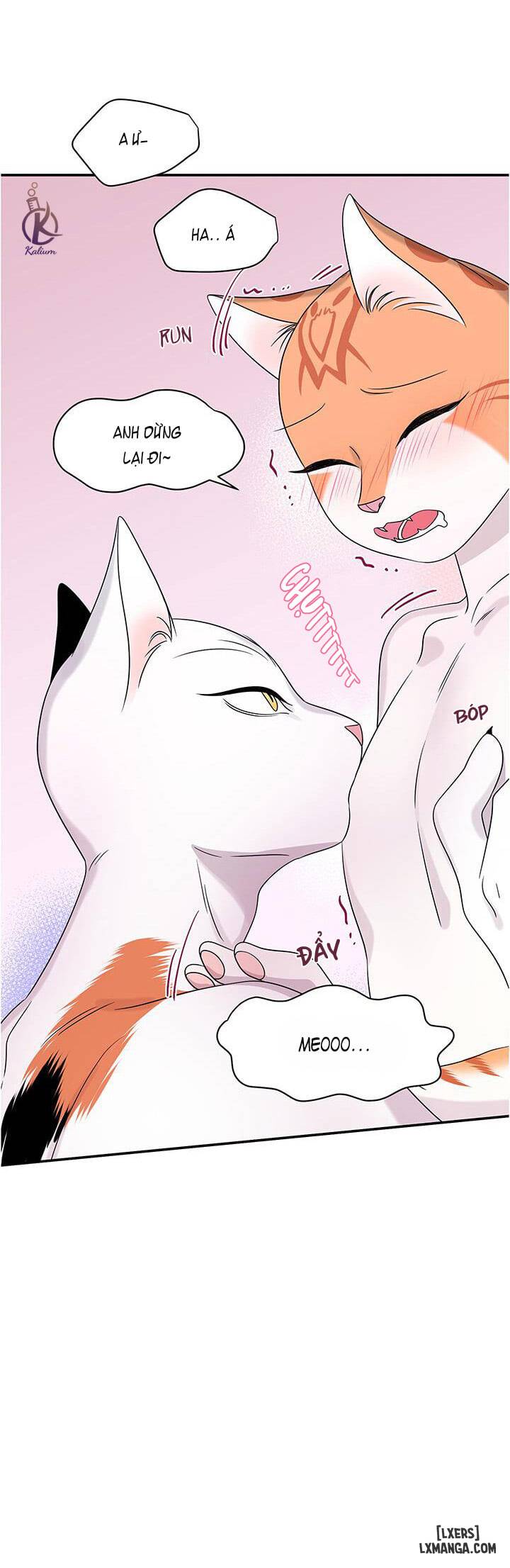 HentaiVN.net - Ảnh 32 - Dự án xanh - Chap 5
