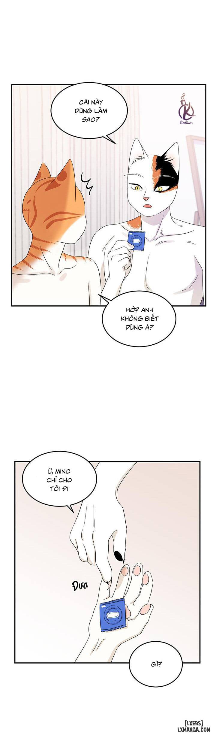 HentaiVN.net - Ảnh 16 - Dự án xanh - Chap 6