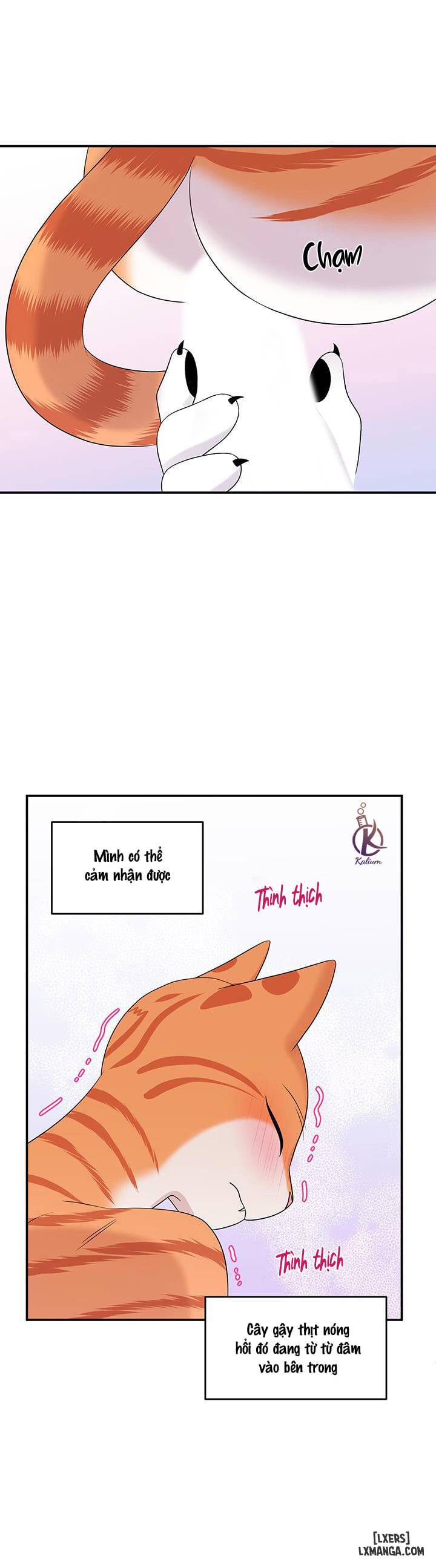 HentaiVN.net - Ảnh 25 - Dự án xanh - Chap 6