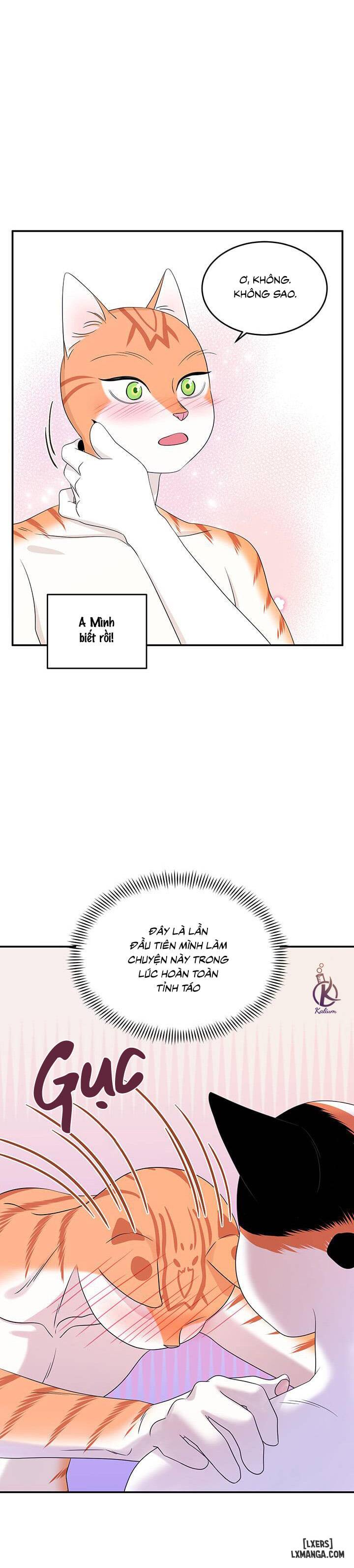 HentaiVN.net - Ảnh 27 - Dự án xanh - Chap 6