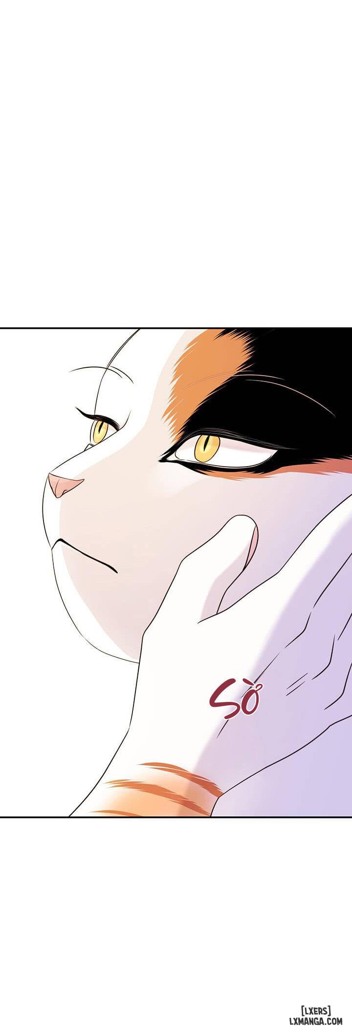 HentaiVN.net - Ảnh 30 - Dự án xanh - Chap 6