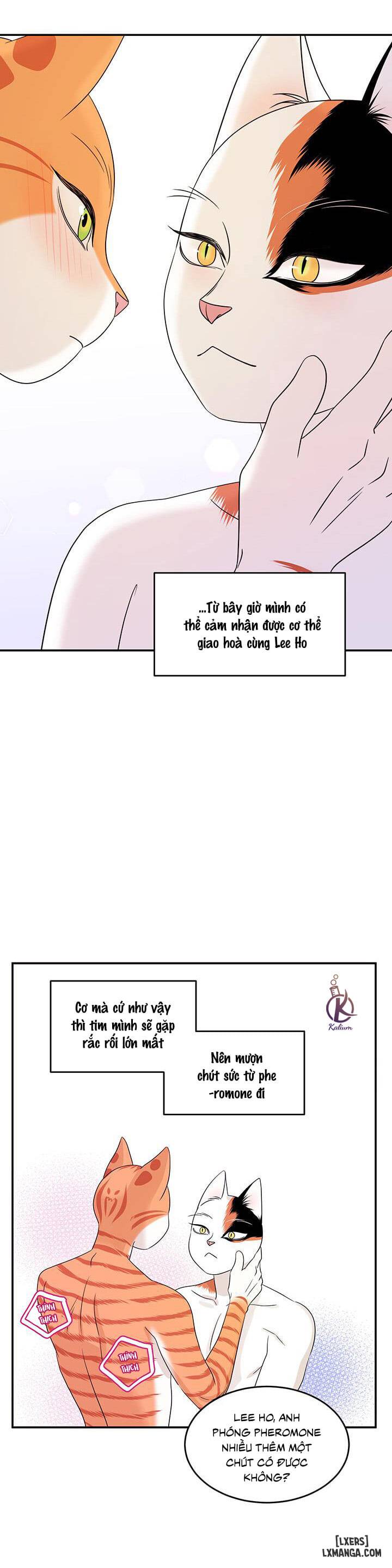 HentaiVN.net - Ảnh 31 - Dự án xanh - Chap 6