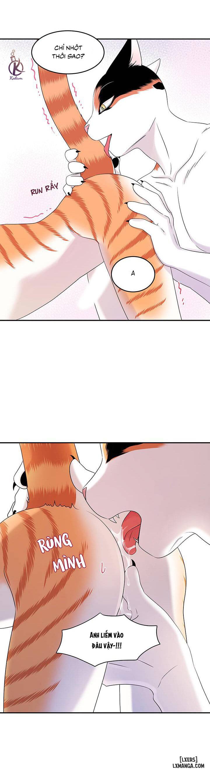 HentaiVN.net - Ảnh 8 - Dự án xanh - Chap 6