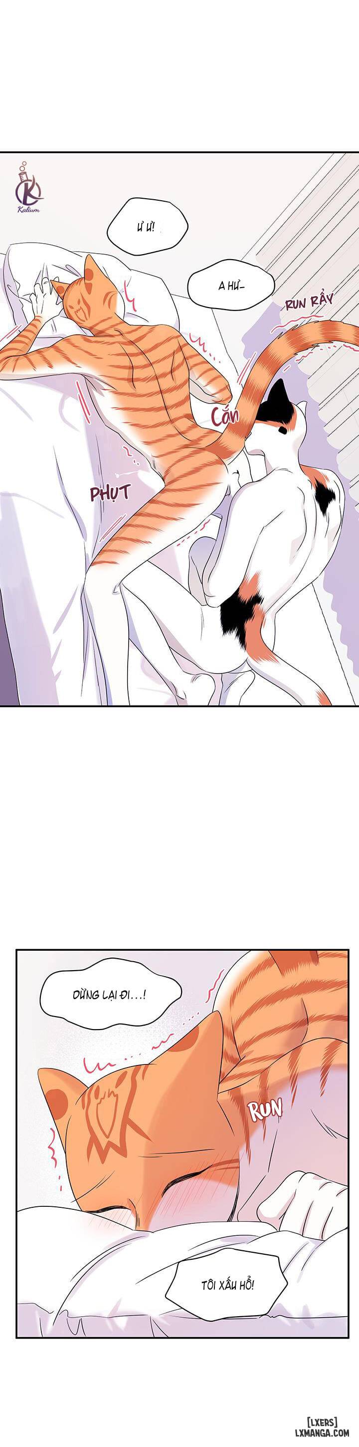 HentaiVN.net - Ảnh 9 - Dự án xanh - Chap 6