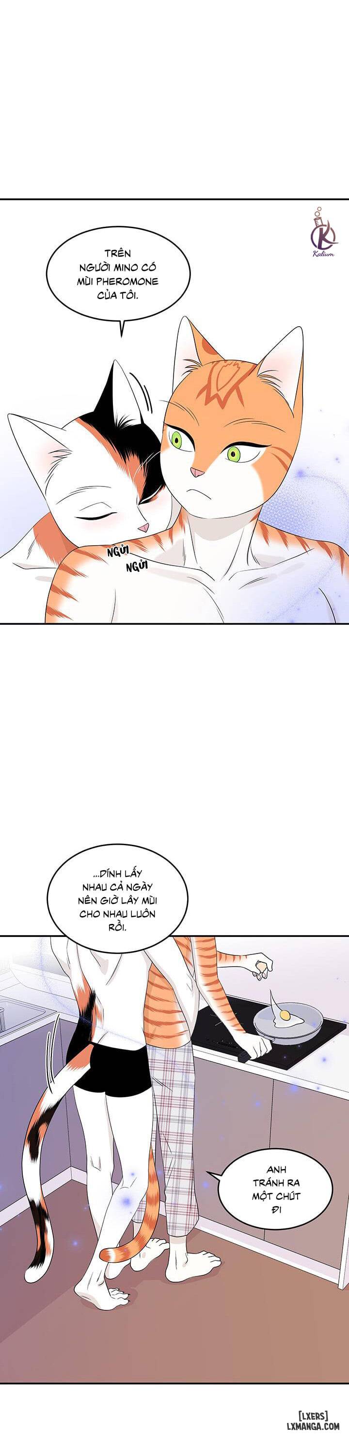 HentaiVN.net - Ảnh 14 - Dự án xanh - Chap 7