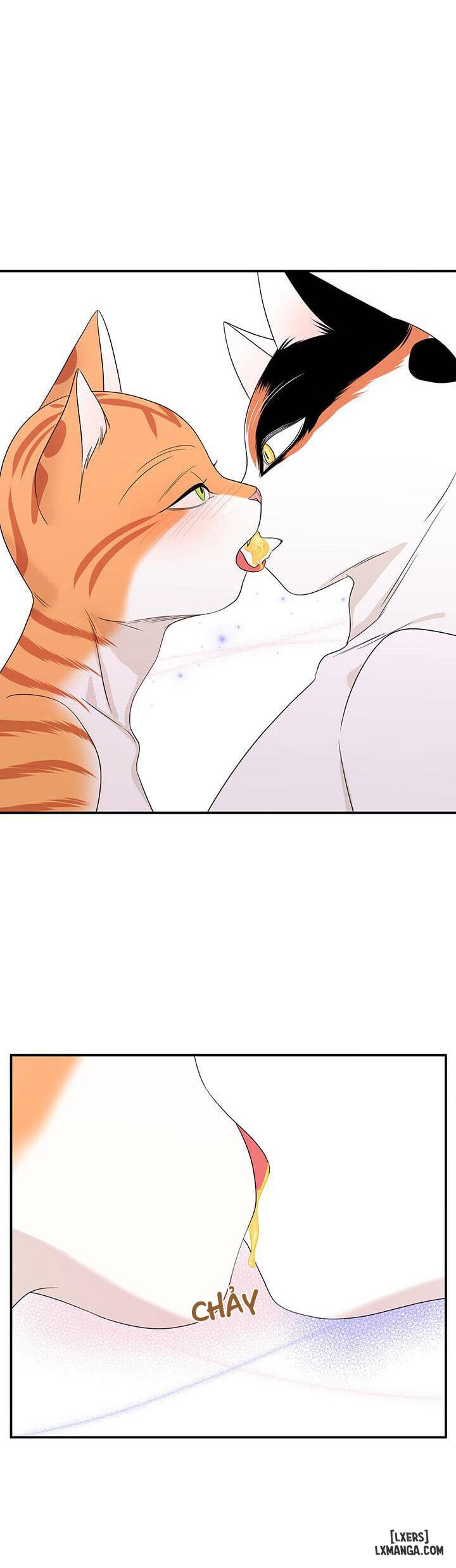 HentaiVN.net - Ảnh 18 - Dự án xanh - Chap 7