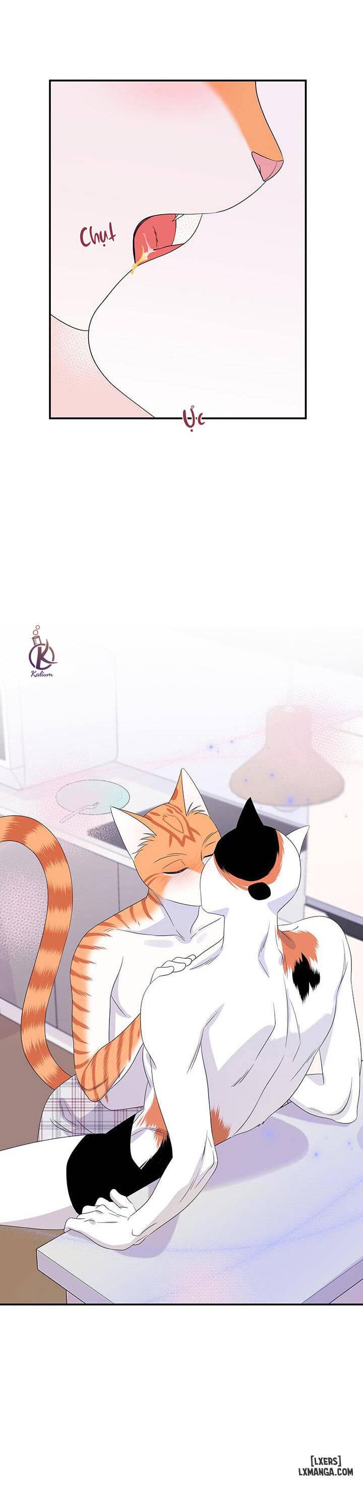 HentaiVN.net - Ảnh 19 - Dự án xanh - Chap 7