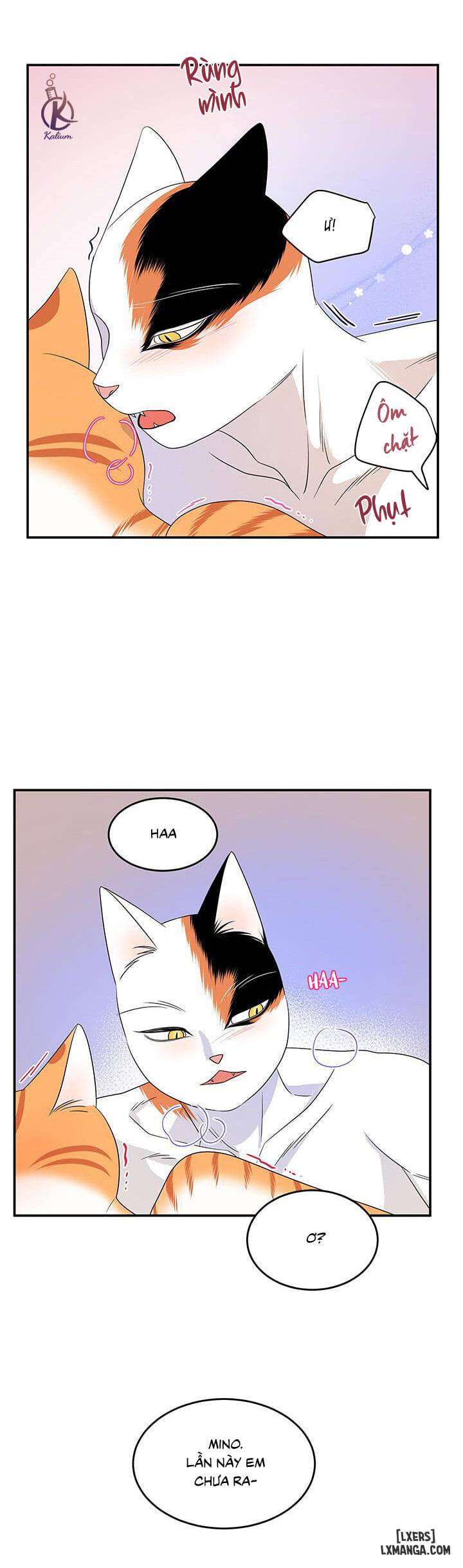 HentaiVN.net - Ảnh 3 - Dự án xanh - Chap 7