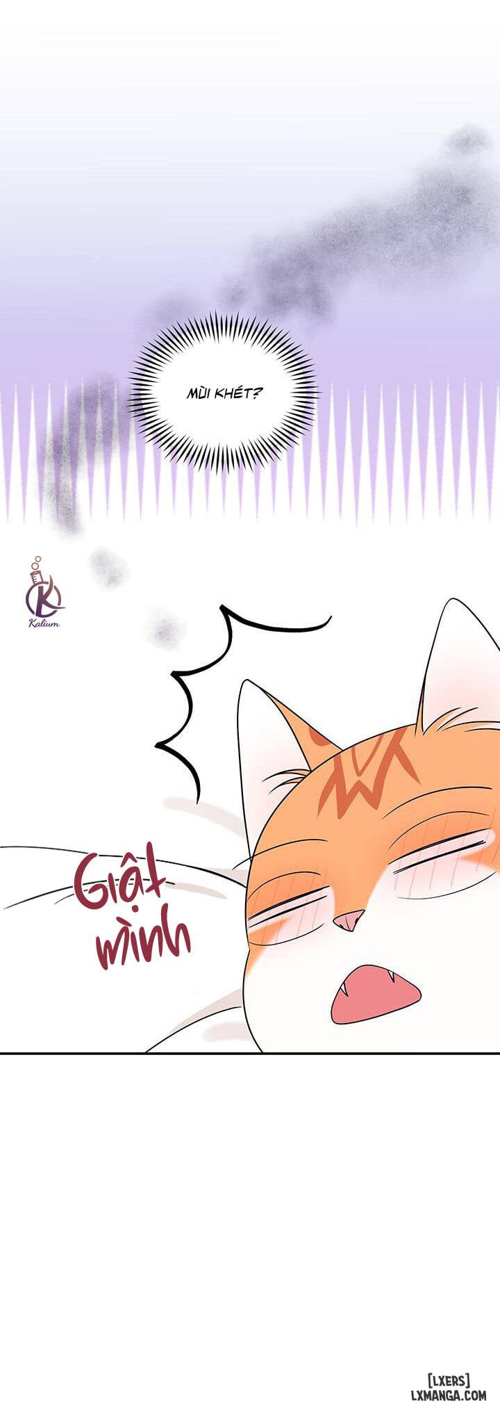 HentaiVN.net - Ảnh 8 - Dự án xanh - Chap 7