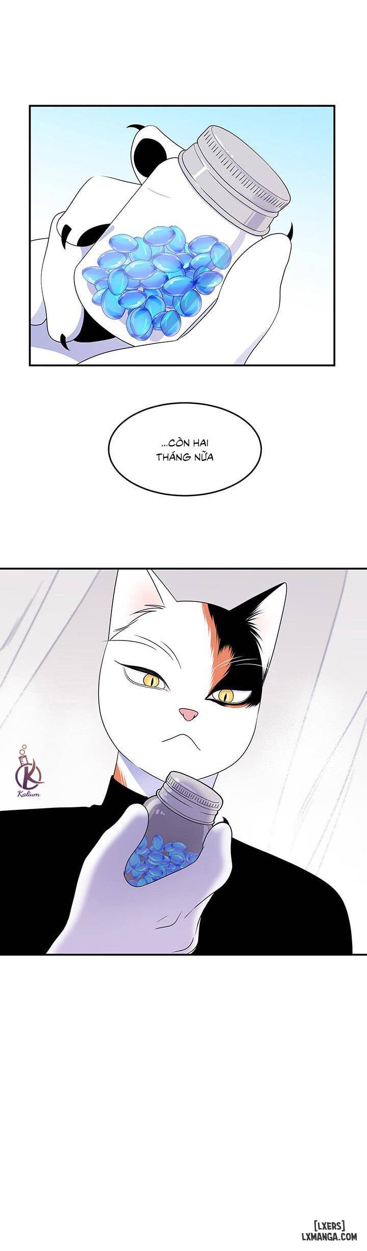HentaiVN.net - Ảnh 17 - Dự án xanh - Chap 8