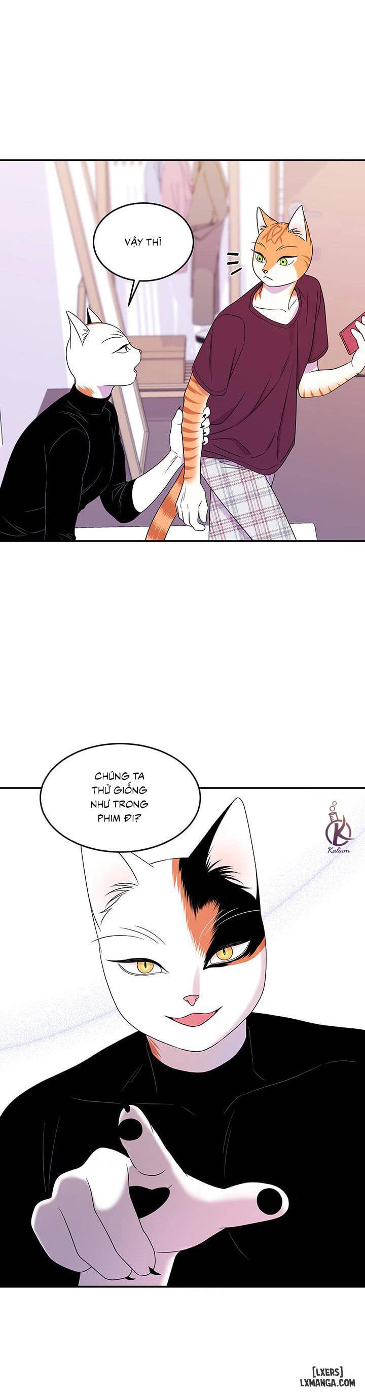 HentaiVN.net - Ảnh 27 - Dự án xanh - Chap 8