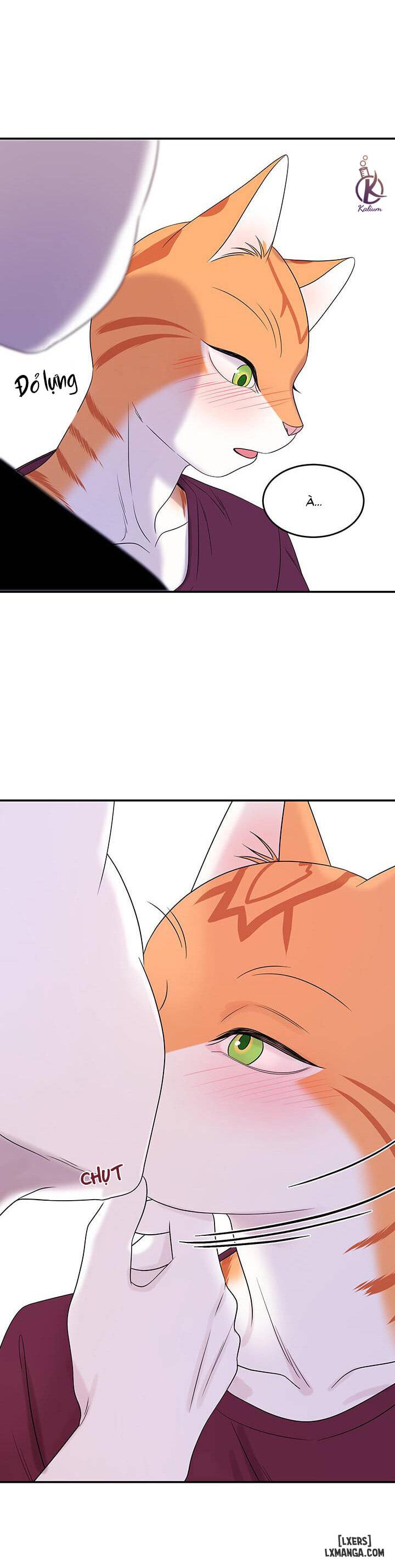 HentaiVN.net - Ảnh 29 - Dự án xanh - Chap 8