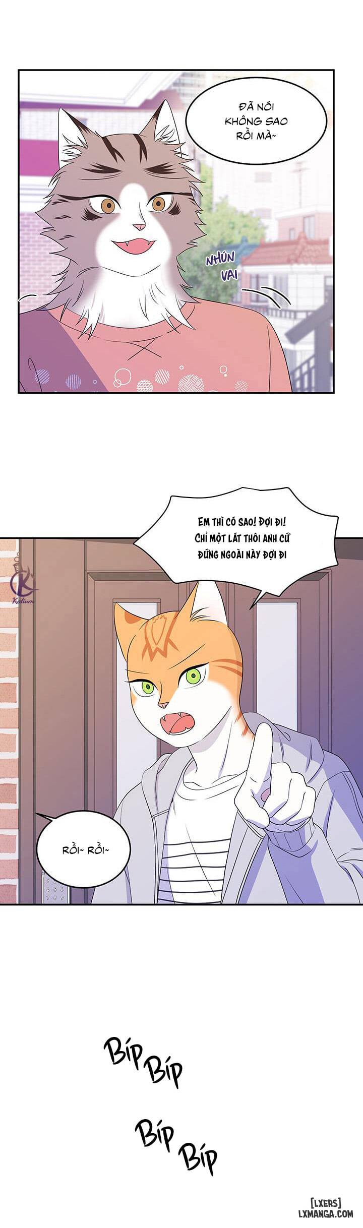 HentaiVN.net - Ảnh 10 - Dự án xanh - Chap 9