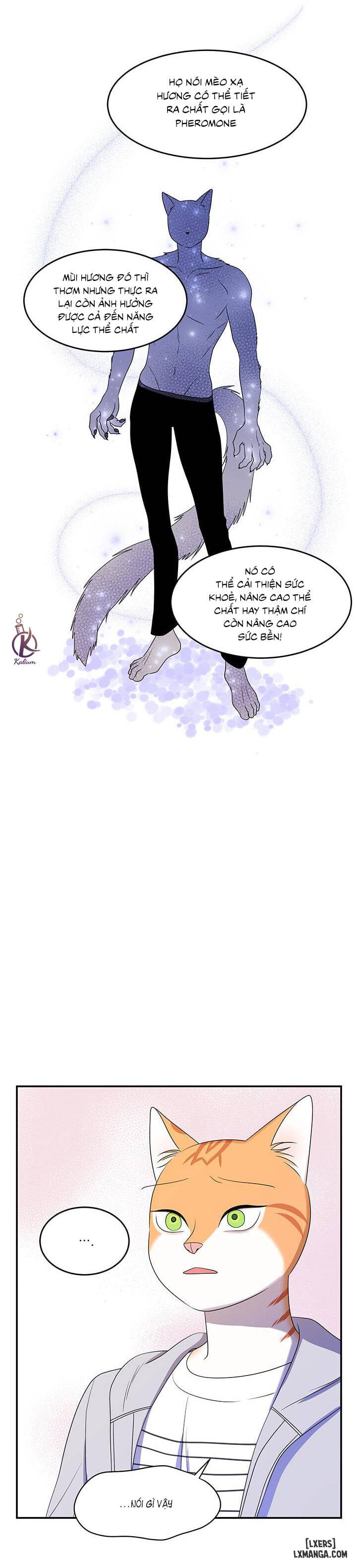 HentaiVN.net - Ảnh 23 - Dự án xanh - Chap 9