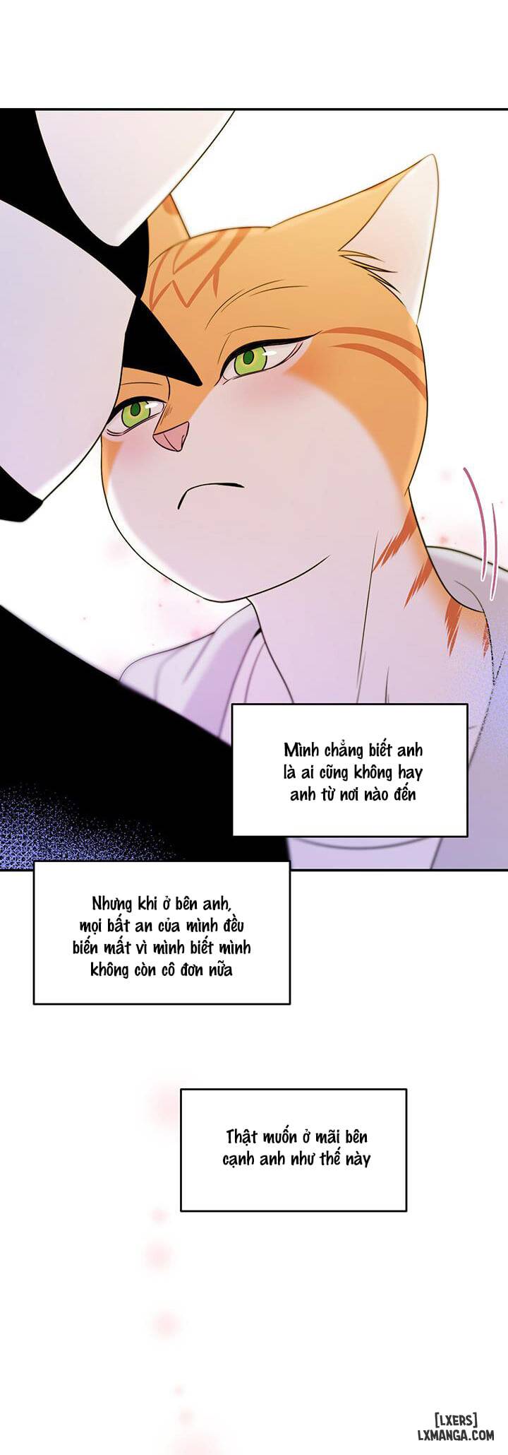 HentaiVN.net - Ảnh 18 - Dự án xanh - Chap 10