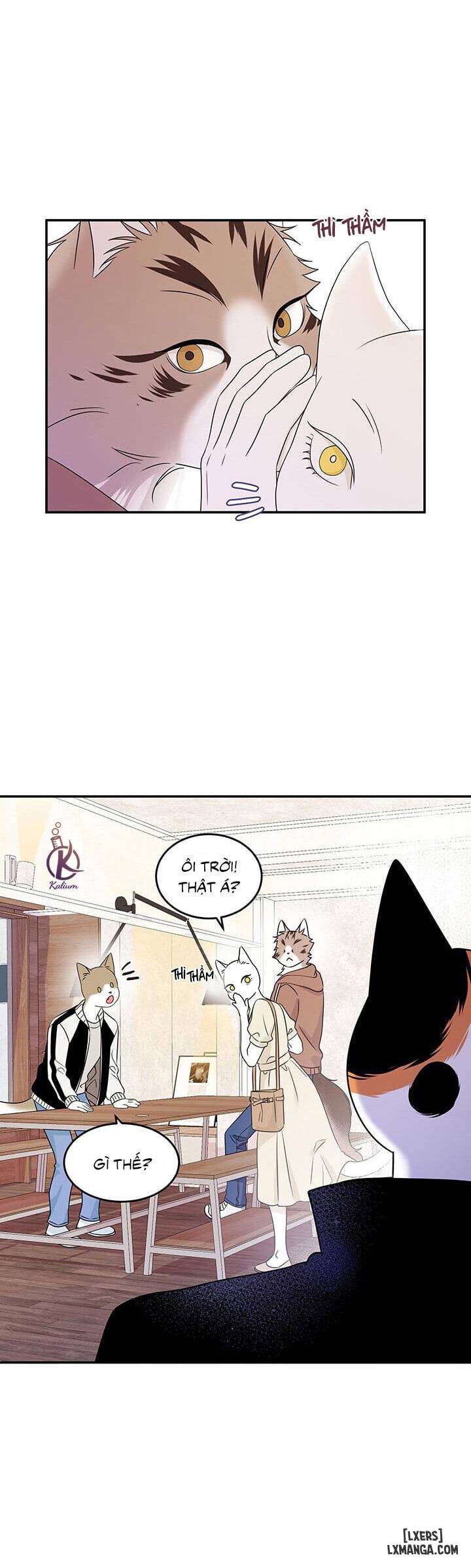 HentaiVN.net - Ảnh 11 - Dự án xanh - Chap 11