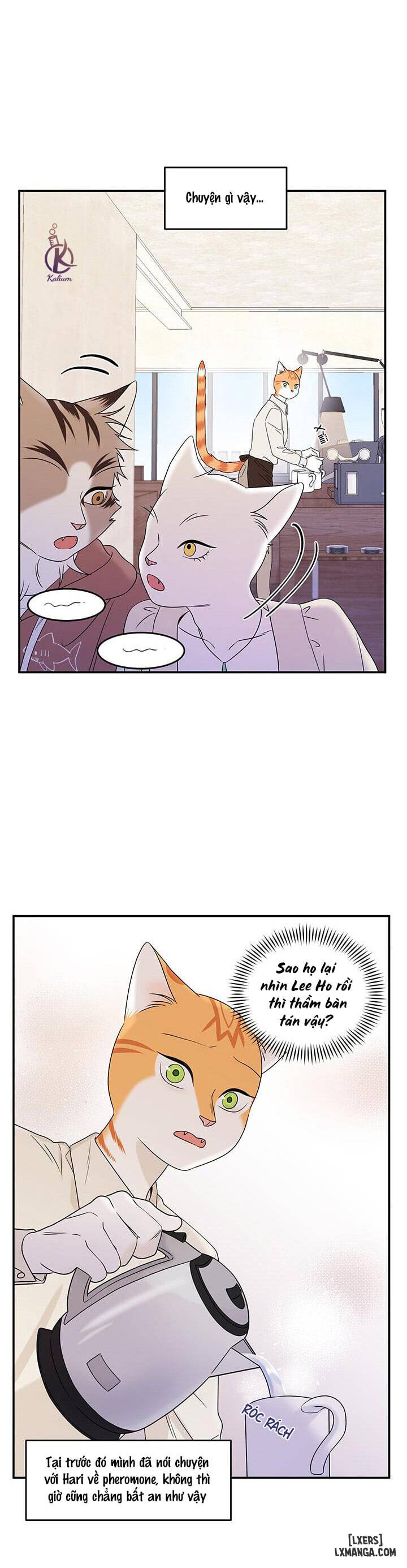 HentaiVN.net - Ảnh 12 - Dự án xanh - Chap 11