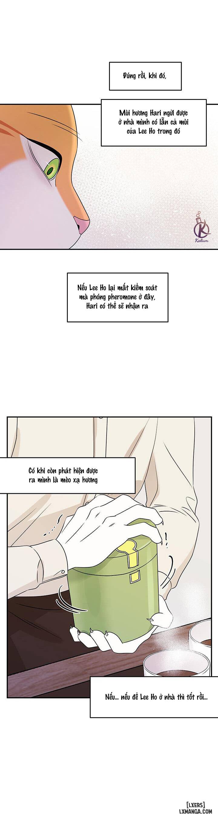HentaiVN.net - Ảnh 13 - Dự án xanh - Chap 11