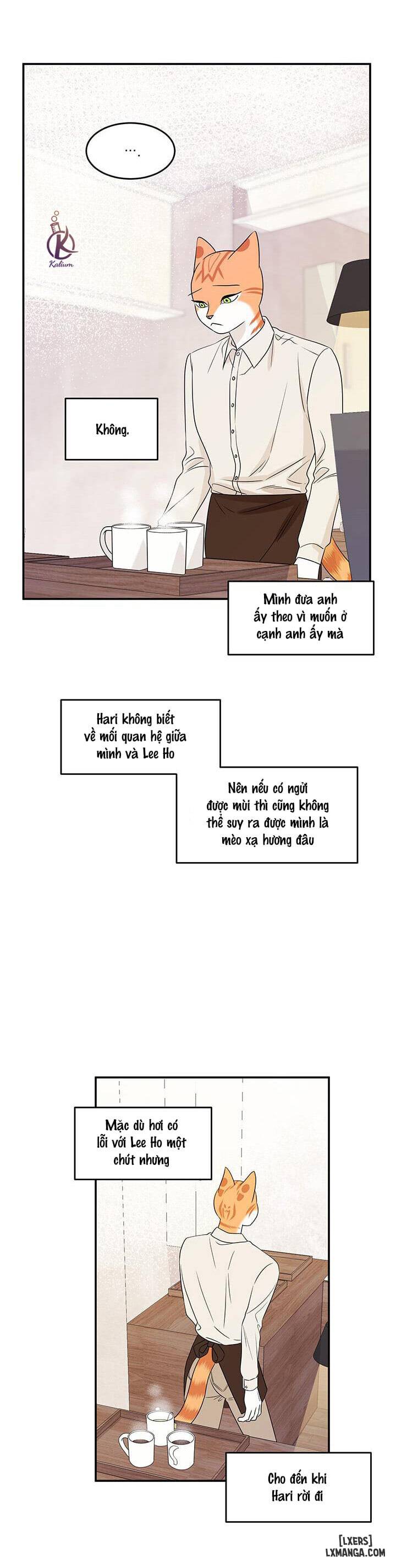 HentaiVN.net - Ảnh 15 - Dự án xanh - Chap 11