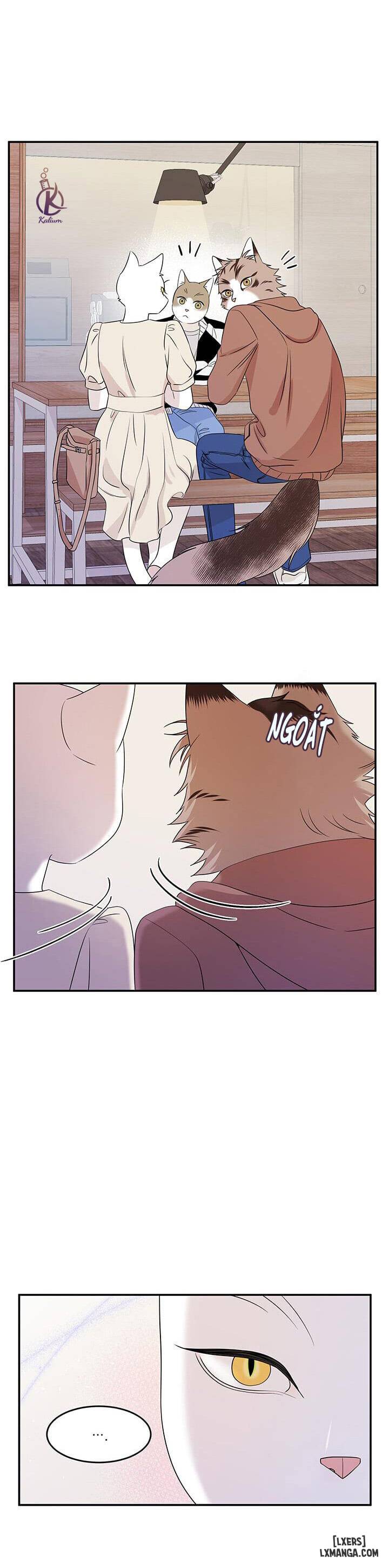 HentaiVN.net - Ảnh 19 - Dự án xanh - Chap 11