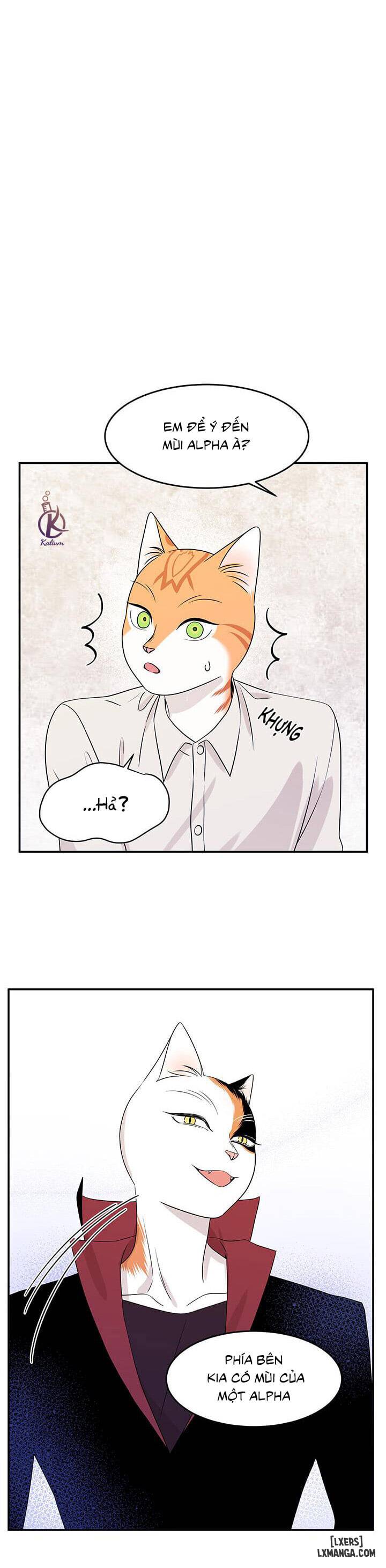 HentaiVN.net - Ảnh 20 - Dự án xanh - Chap 11